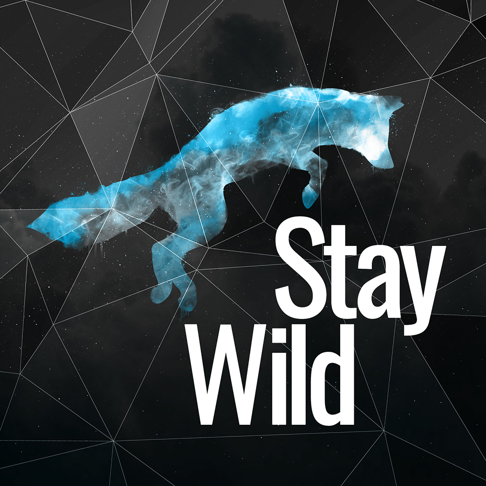 Stay Wild Photo or Logo