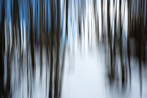 Abstract Forest (Artwork)
