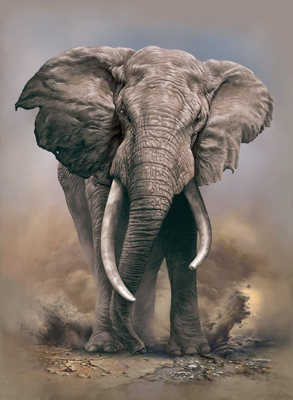 Wii Skin - African Elephant (Image 2)