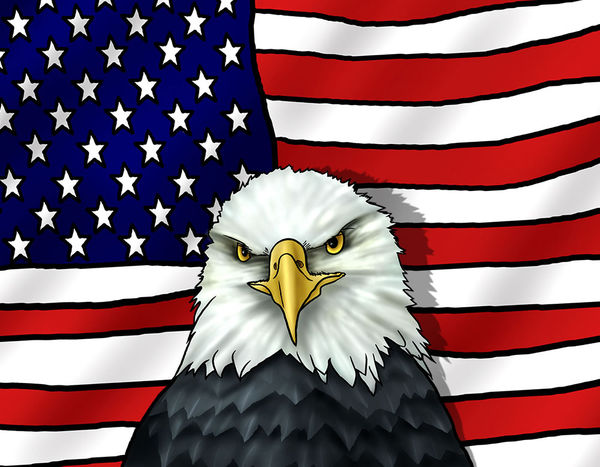 Wii Nunchuk Skin - American Eagle (Image 2)