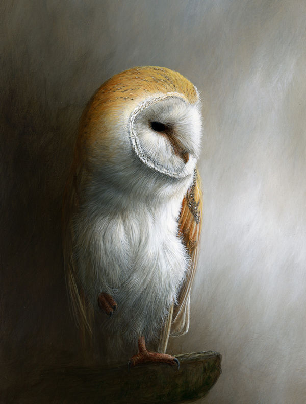 Apple iPad Pro 12.9 (1st Gen) Skin - Barn Owl (Image 2)