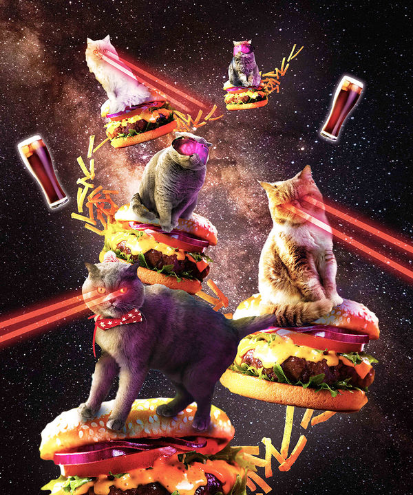 Burger Cats (Artwork)