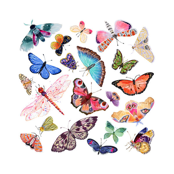 HP Chromebook 11 Skin - Butterfly Scatter (Image 2)
