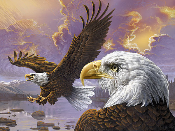 Eagle (Artwork)