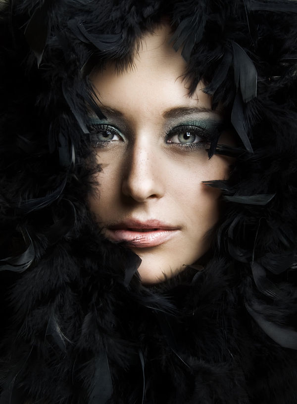 Feathered Beauty by Andreas Stridsberg | DecalGirl