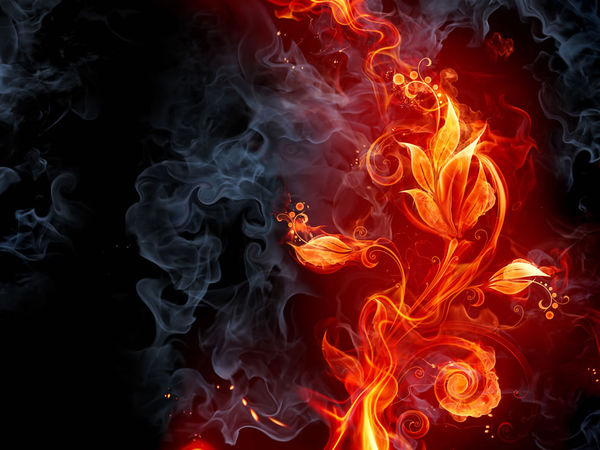 Apple iPhone 7 Hybrid Case - Flower Of Fire (Image 2)