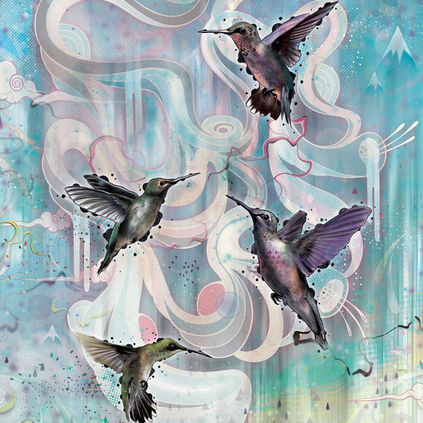 Amazon Kindle 2014 Skin - Hummingbirds (Image 2)