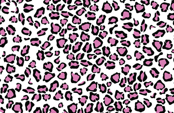 Kindle 4 Skin - Leopard Love (Image 2)