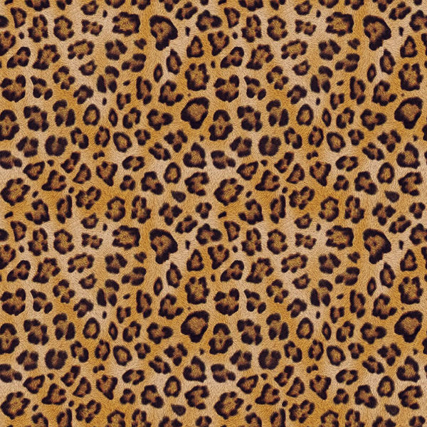 Leopard Spots (Artwork)