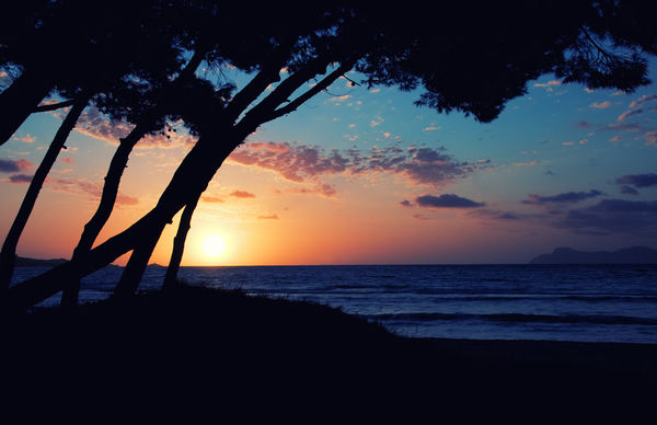 Laptop Sleeve - Mallorca Sunrise (Image 9)