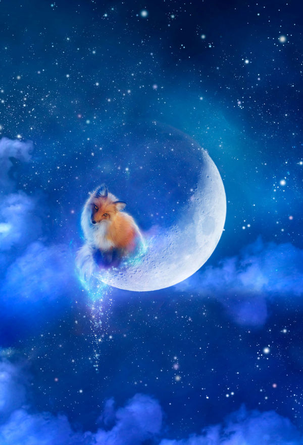 Tablet Sleeve - Moon Fox (Image 4)