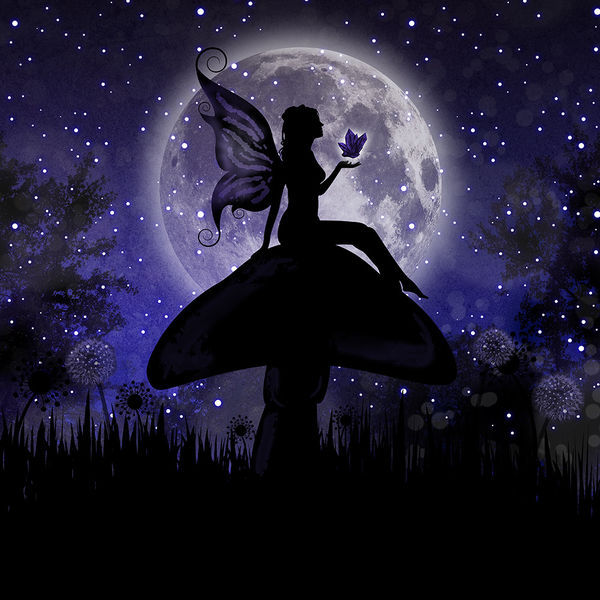 Kindle 4 Skin - Moonlit Fairy (Image 2)