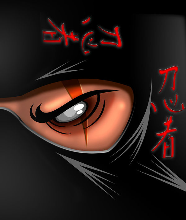 DJI Mini 3 Skin - Ninja (Image 2)