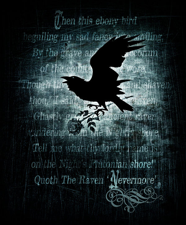 Barnes and Noble NOOK GlowLight Skin - Nevermore (Image 2)