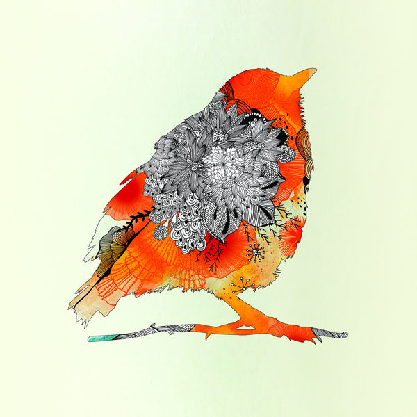 Amazon Kindle 2014 Skin - Orange Bird (Image 2)