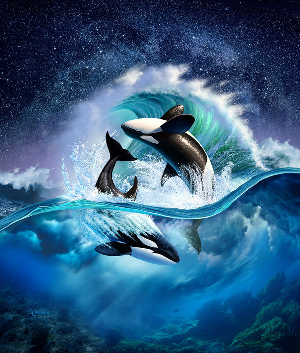 Dell Chromebook 11 Skin - Orca Wave (Image 6)