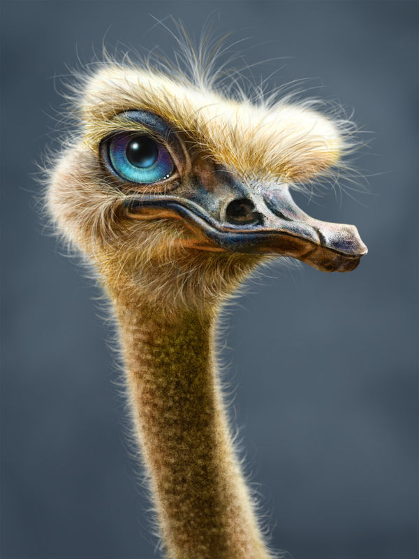 Amazon Kindle 2014 Skin - Ostrich Totem (Image 2)