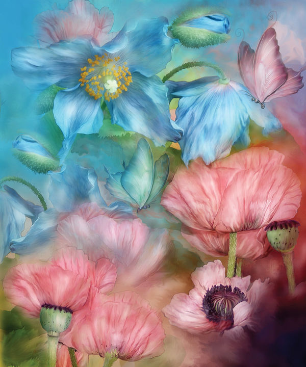 Poppy Garden (Artwork)