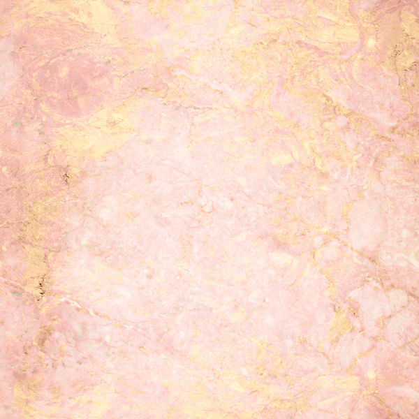 Insta360 X3 Skin - Rose Gold Marble (Image 2)