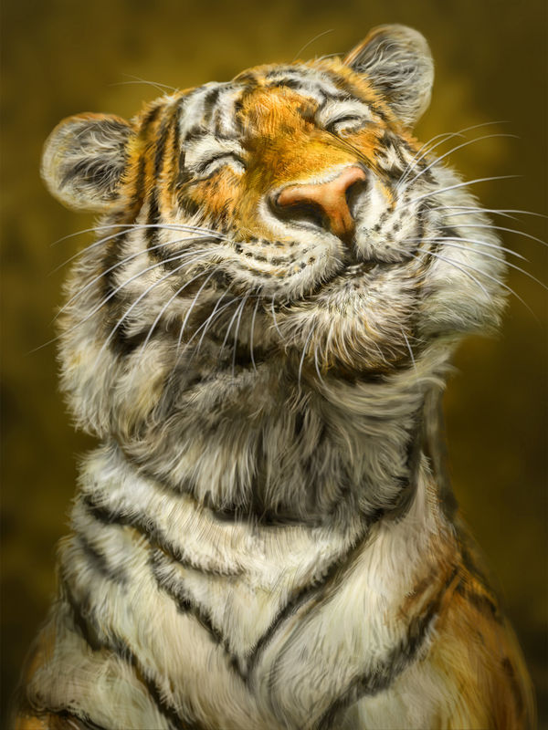 Laptop Skin - Smiling Tiger (Image 6)