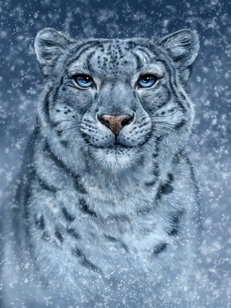 Snow Queen (Artwork)