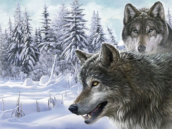 Tablet Sleeve - Snow Wolves (Image 4)