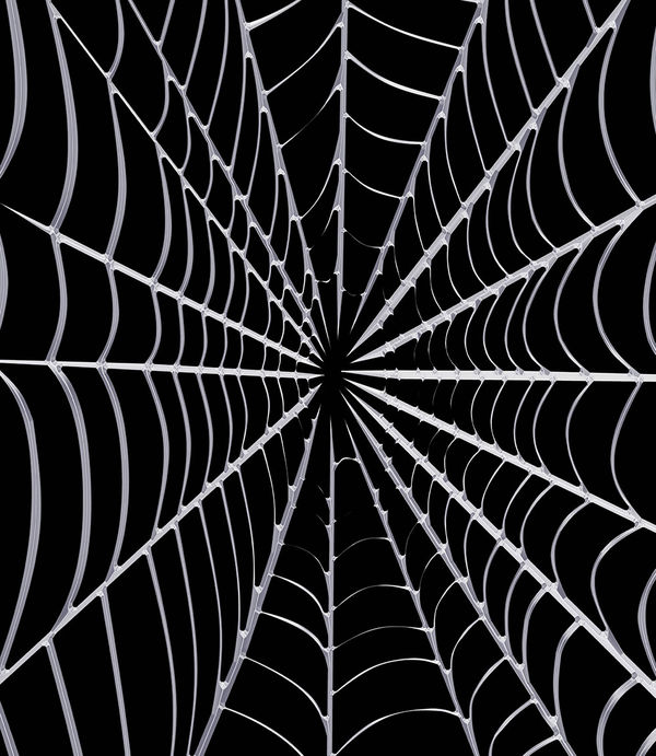Sony PS4 Skin - Spiderweb (Image 3)
