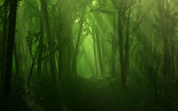 Microsoft Xbox One Skin - Spring Wood (Image 5)