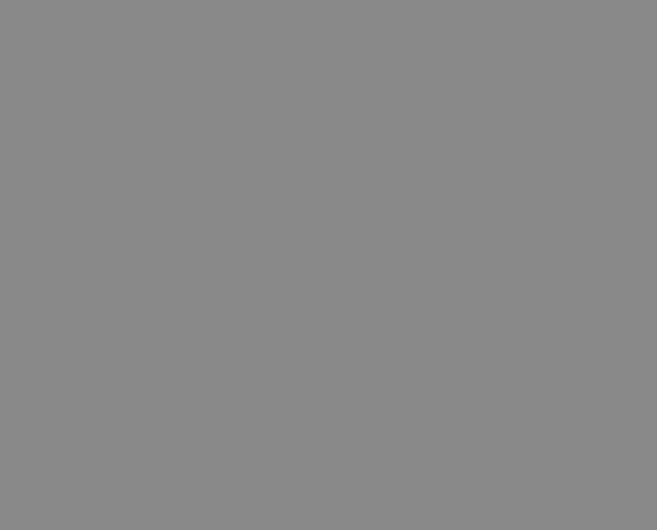 Asus Flip Chromebook Skin - Solid State Grey (Image 2)