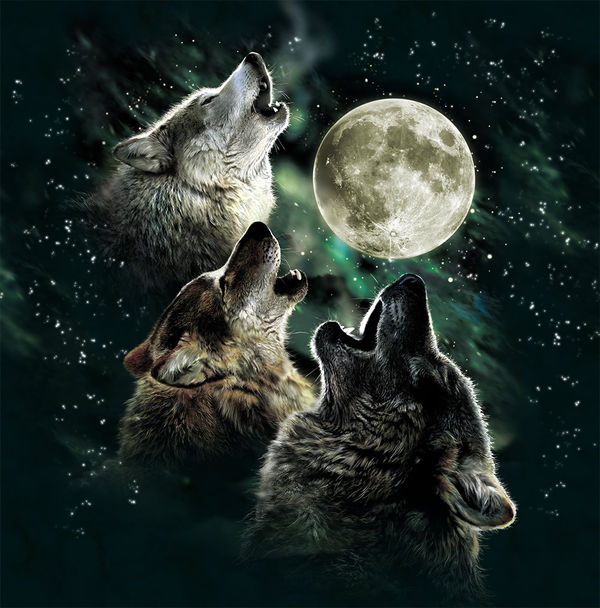 Amazon Kindle Oasis Skin - Three Wolf Moon (Image 2)