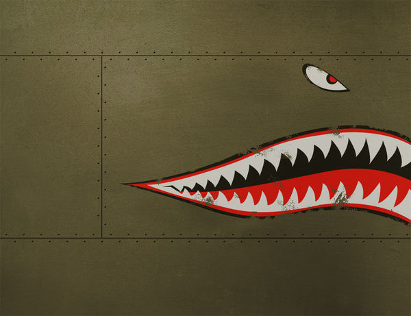 Nintendo 3DS Skin - USAF Shark (Image 2)