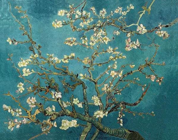 Blossoming Almond Tree (Artwork)