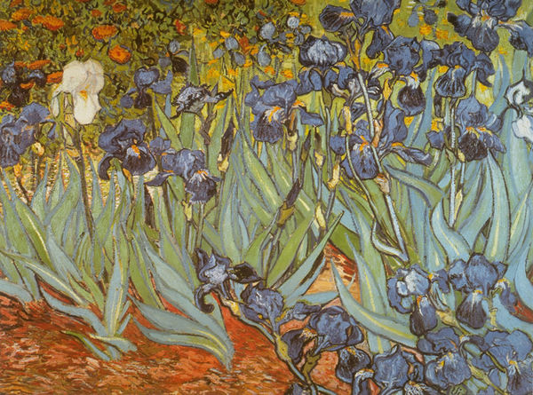 Irises (Artwork)