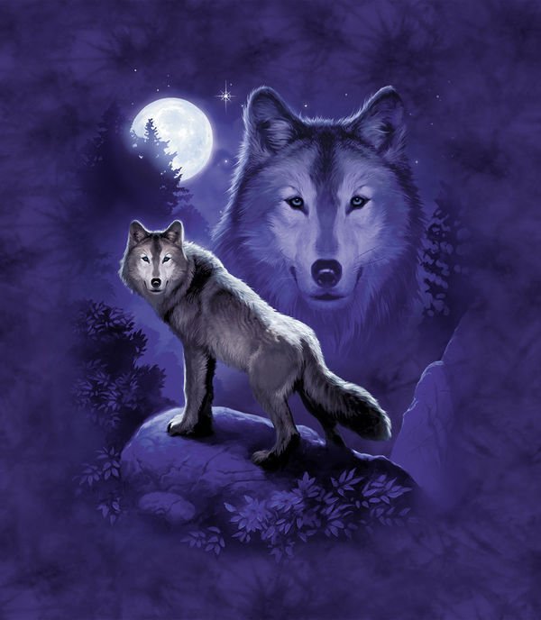 Wii Nunchuk Skin - Wolf (Image 2)
