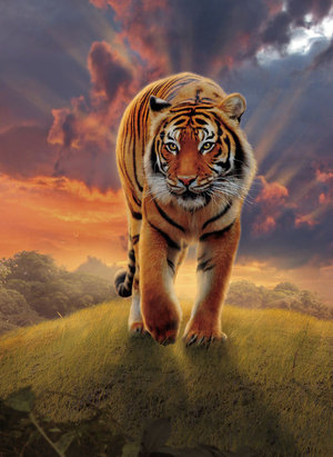 Rising Tiger