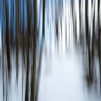 DJI Mini 3 Skin - Abstract Forest (Image 2)