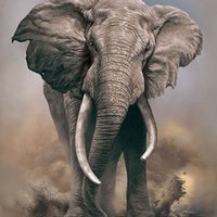 African Elephant (Artwork)