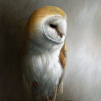 Skin for Yeti Rambler 30 oz Tumbler - Barn Owl (Image 2)