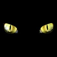 Cat Eyes (Artwork)