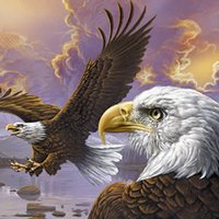 Eagle (Artwork)