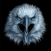Amazon Kindle Fire 7in 7th Gen Skin - Eagle Face (Image 2)