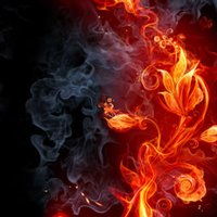 Microsoft Surface Pro 4 Skin - Flower Of Fire (Image 7)