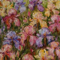 Field Of Irises