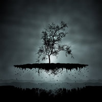 Skin for Yeti Rambler Colster - Flying Tree Black (Image 2)
