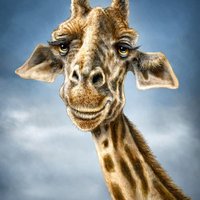 OtterBox Symmetry iPhone 7 Case Skin - Giraffe Totem (Image 2)