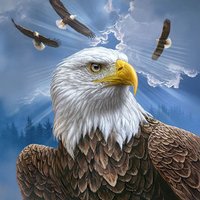 Wii Skin - Guardian Eagle (Image 2)
