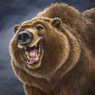 Hey Bear (Artwork)