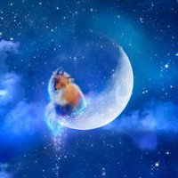 Kobo Glo Skin - Moon Fox (Image 2)