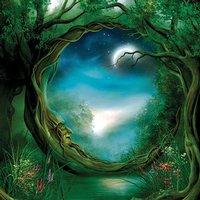 Barnes and Noble Nook Touch Skin - Moon Tree (Image 2)