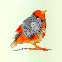 Amazon Kindle 2014 Skin - Orange Bird (Image 2)